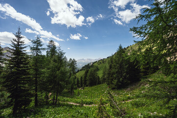 mountain landscape along the San Nicolò trail, Pozza di Fassa, val di Fassa, Dolomites, Italia