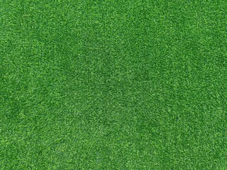 Top view of a green grass field texture and background. 