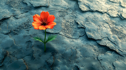 Lone red flower growing from cracked rock symbolizes resilience hope and life persistence.