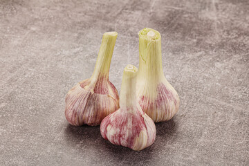 Young garlic heap for cooking
