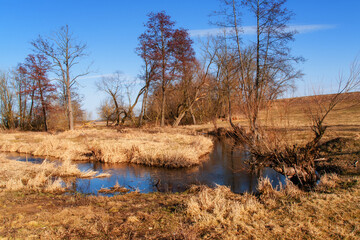 Wiosenne rozlewiska rzeki Narwi, Podlasie, Polska