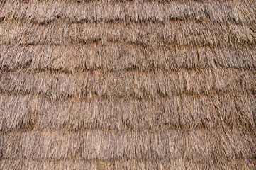 The structured layering of straw creates a unique thatched roof, highlighting traditional building techniques.