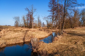 Wiosenne rozlewiska rzeki Narwi, Podlasie, Polska