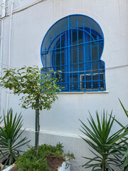 Blue Grated Window and Garden Elements in Whitewashed Wall
