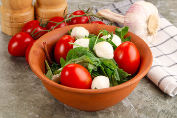 Salad with mozzarella and arugula
