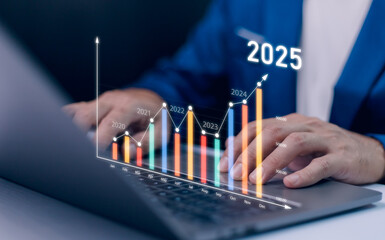 2024 to 2025 business financial plan market concept, performance of profit growth on 2024,...