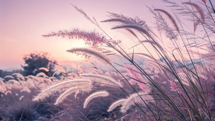 Ethereal feathery grass, dreamy pastel colors, soft pink and purple hues, delicate wispy textures, surreal botanical landscape, macro photography, fairytale atmosphere, gossamer strands, otherworldly 