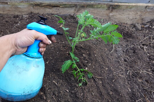 tea saponin pesticide manufacturer tea saponin pesticide manufacturer