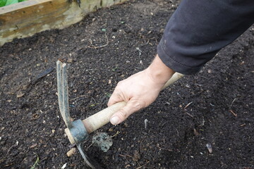 man's hands with hoe preparing the raised wooden bed. preparing soil for cultivation