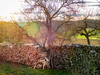 Brennholz lagert auf einer Streuobstwiese © focus finder