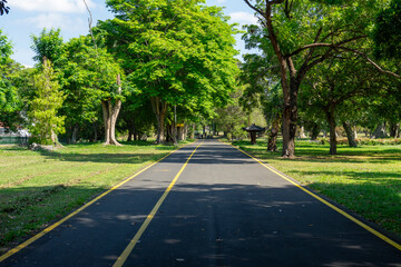 Empty forest road in national park