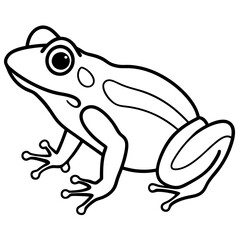 Modern Frog Line Drawing