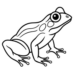 Modern Frog Line Drawing