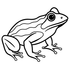Modern Frog Line Drawing