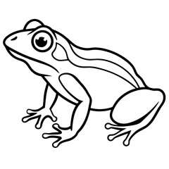 Modern Frog Line Drawing