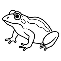 Modern Frog Line Drawing