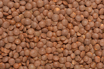 A close-up, top-down view of a pile of dry brown lentils filling the frame