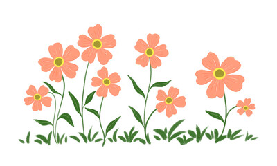 spring flowers illustration