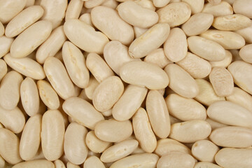 A close-up, top-down shot of a dense pile of white kidney beans