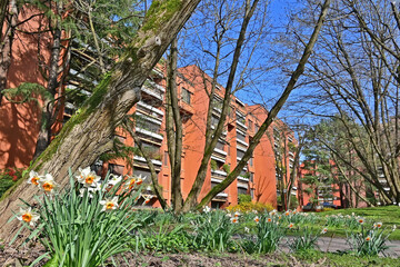 Fototapete bei efototapeten.de bestellen   