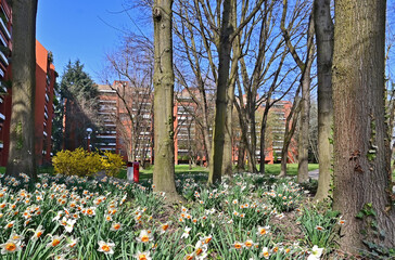 Fototapete bei efototapeten.de bestellen   