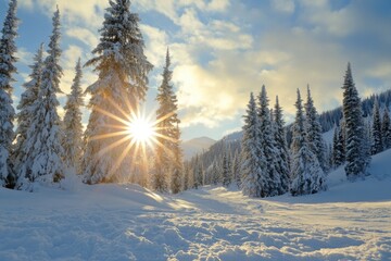 Skiing in the winter sun is an exhilarating experience that brings joy and excitement.