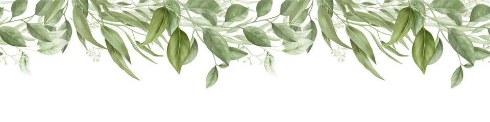 Graceful willow and eucalyptus branches, seamless horizontal border. Digital watercolor illustration. Bamboo branches and an olive tree on a white background. Botanical illustration