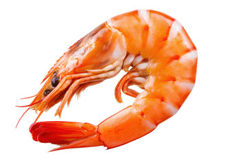Close-up of orange cooked shrimp on black background highlighting details, cut out
