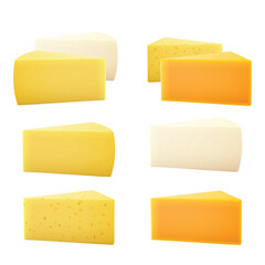 Various Types of Cheese Slices. Vector