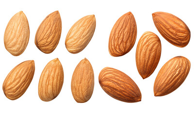 Almond nuts isolated, Fresh nuts collection, Collection set of Almond nuts isolated