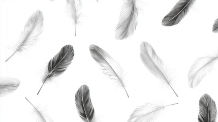 Seamless pattern of multiple black and white feathers on a white background. the feathers are arranged in a repeating pattern, with each feather slightly overlapping the one below it.