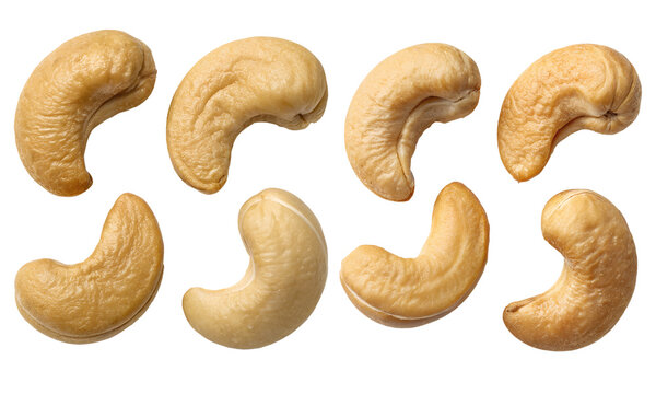Cashew nuts isolated, Fresh nuts collection, Collection set of cashew nuts isolated