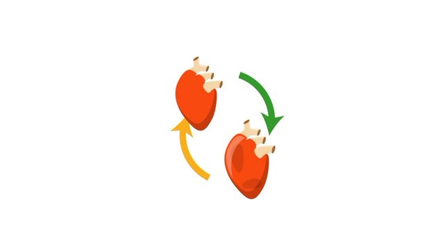 Cardiology heart disease, hearth health icon , heart operation or replacement 3d animation 