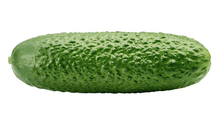 Cucumber isolated on white background, full depth of field