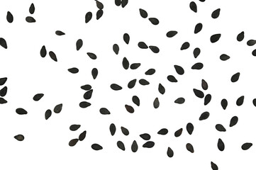 Scattered black Sesame Seeds isolated on a transparent background. Completely in focus. Full depth of field. Top view. PNG.