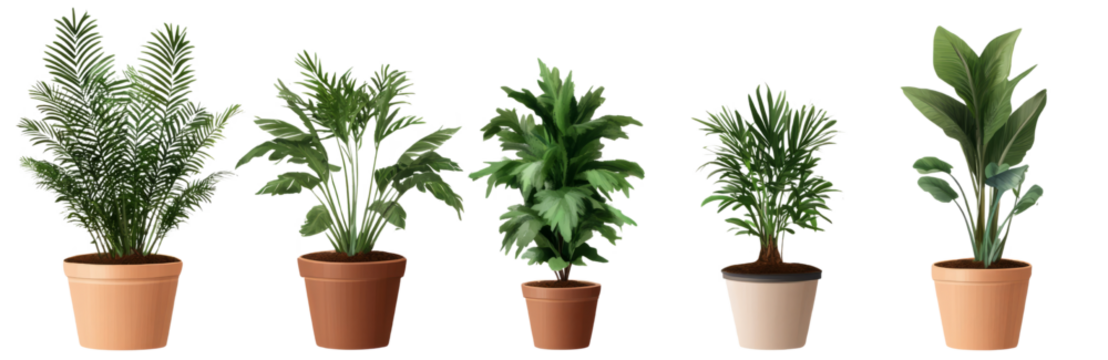 Five potted plants stand calmly, green foliage adding life to space