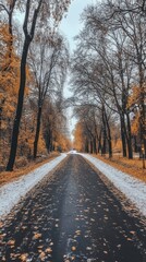 Obraz premium Serene Autumnal Road with Snow in Park with Bare Trees and Golden Foliage Perspective View on Overcast Day