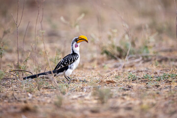 Each picture captures a moment