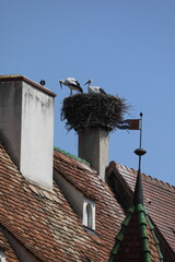 Elsass