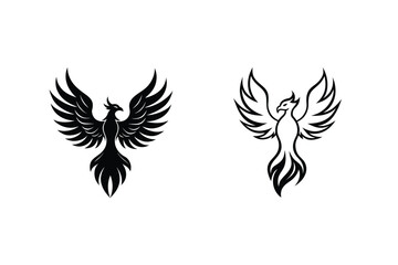 Obraz premium Majestic Phoenix Bird Designs Two Styles, Black and White Illustrations