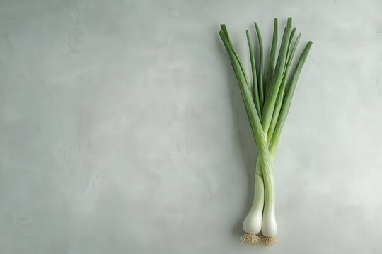 Fototapeta Fresh green onions on a minimalist background.