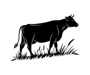 Silhouette of a cow grazing on grass