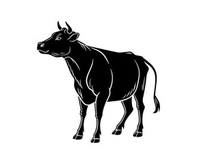 Silhouette of a cow grazing on grass