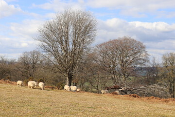 The hills of England and Wales