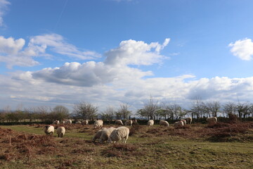 Obraz premium The hills of England and Wales