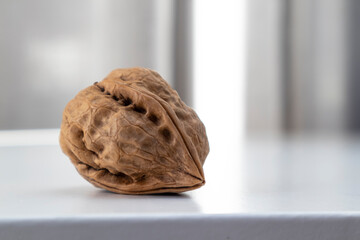 Walnut is a whole textured front view on a gray background with space for text.
