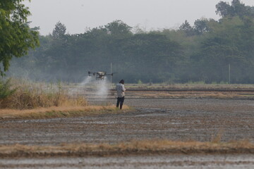 A drone controller spray pesticides over rice fields in Nakhon Sawan Province, north of Bangkok on March 22, 2025.