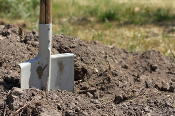 shovel in the ground against the background of grass close-up on a sunny day. making a bed in the garden