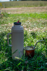 jóvenes bebiendo mate, beber mate en la escuela, compartir mate, amigos © Daniel
