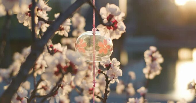 Plum blossoms and cherry blossoms bloom in spring, and wind chimes hang in the air.

